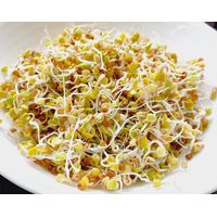 Kitchen Garden Japanese Radish Sprouting Seeds 50g